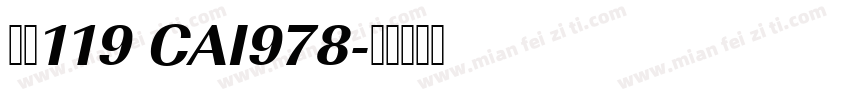 字体119 CAI978字体转换